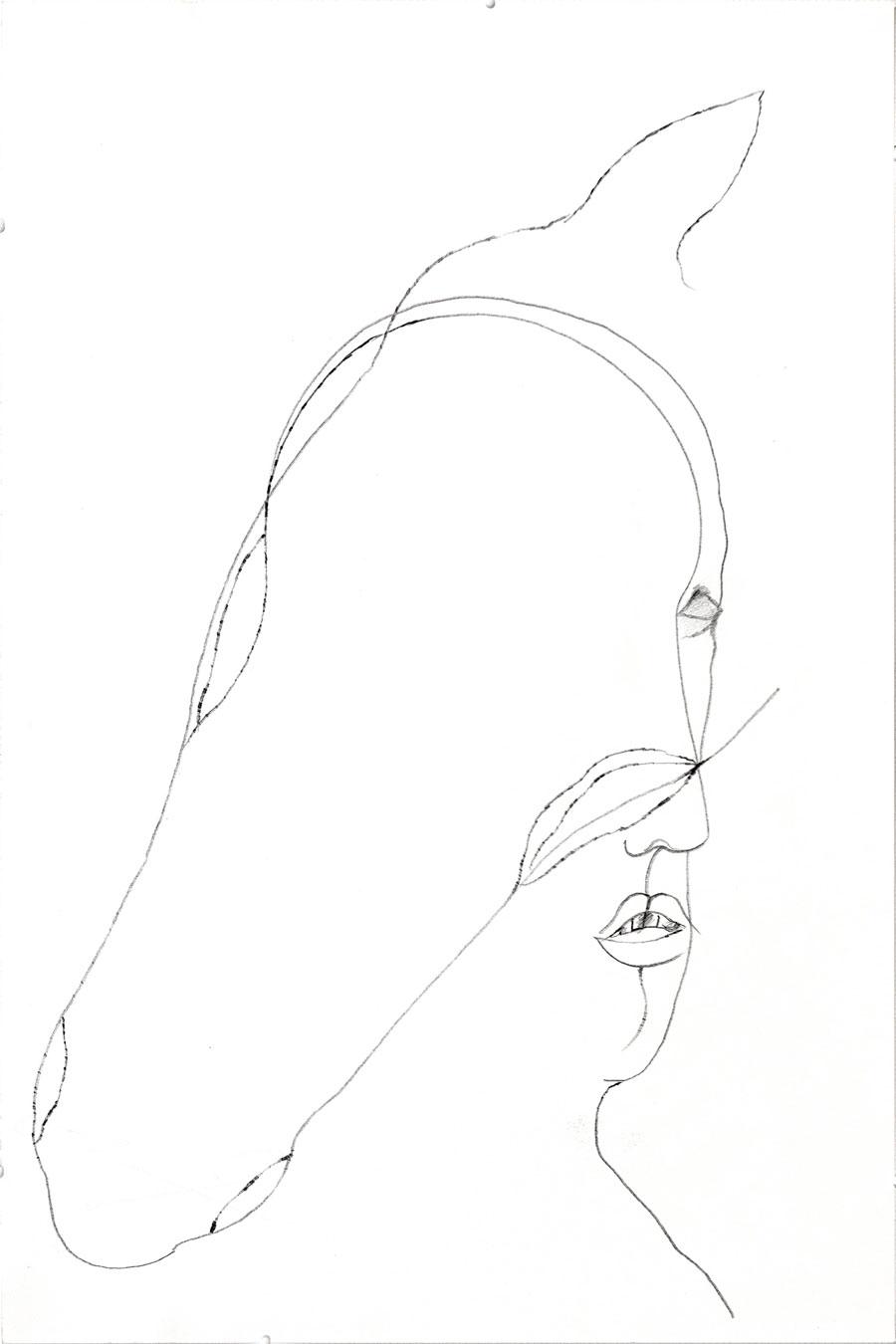 „FRAUENKOPF – PFERDEKOPF“, 46 x 30 cm, Bleistift auf Papier
